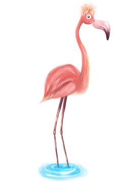 Cute pink flamingo hand painting illustration