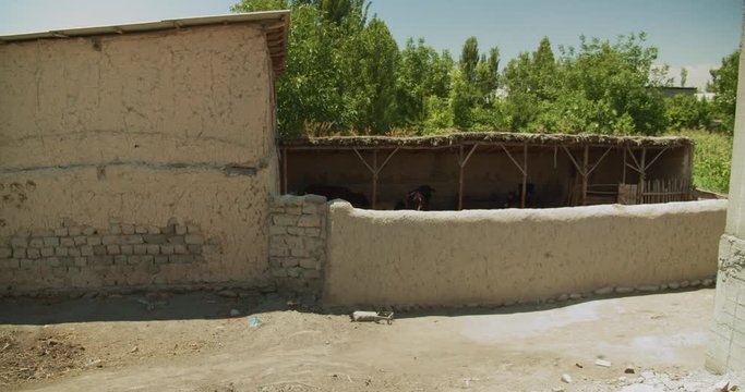 Adobe, clay cowshed house in Ferghana Valley Uzbekistan Central Asia