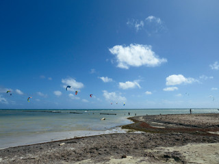 Kite surfing in the Caribbean Sea. Martinique. French West Indies. Antilles