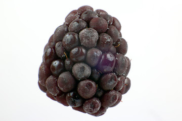 Macro photography of blackberries on a white background. Healthy and vitamin food