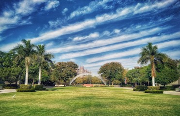 Fototapeta na wymiar palm trees in park