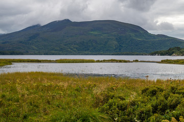 Fototapeta na wymiar Irland / Killarney-Nationalpark