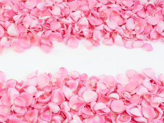 Frame made of pink rose petals