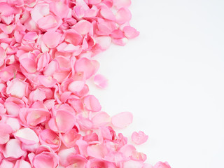 Fototapeta na wymiar Frame made of pink rose petals