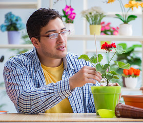 Young man florist working in a flower shop