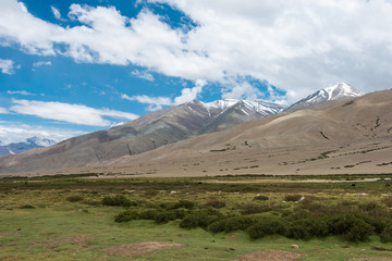 Fototapeta premium Ladakh, India - Jul 14 2019 - Beautiful scenic view from Between Nyoma and Tsaga La Pass in Ladakh, Jammu and Kashmir, India.