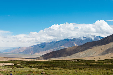 Naklejka premium Ladakh, India - Jul 14 2019 - Beautiful scenic view from Between Nyoma and Tsaga La Pass in Ladakh, Jammu and Kashmir, India.