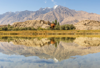 Located 3.500m above the sea level, and last city before the border with Pakistan, Tashkurgan is one of the most beautiful spots of Xinjiang. Here in particular the Fortress
