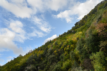 What Mother Nature offers us, mountains, tree and a blue skyouds