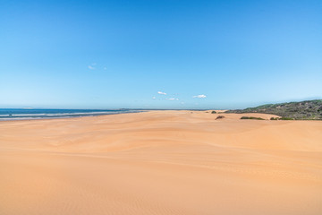 Fototapeta na wymiar Sandstrand mit Himmel und kleinen Wolken Meer auf der linken Seite Büsche auf der Rechtenseite ein sonniger Tag