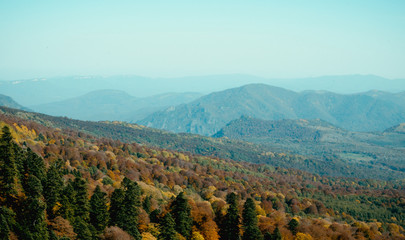 landscape in the mountains