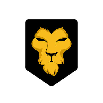 elegant golden lion head, lion face on shield logo design. animal wildlife vector illustration. universal brand template illustration