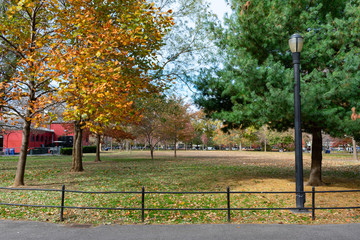 McCarren Park Autumn Scene with a Street Light and Trees in Williamsburg Brooklyn New York