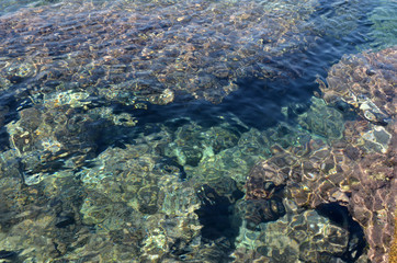 Sea bottom with water transparency and abstract shapes and colors.