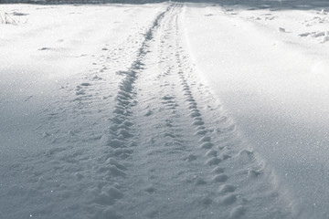 Snowmobile tracks