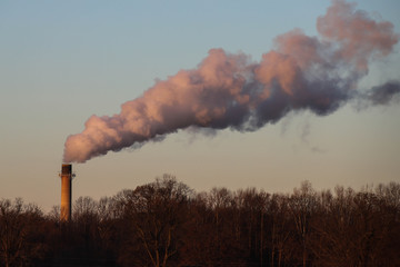 Smoke / steam plum riasing from a factory smoke stack