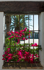 Traditional andalusian architecture of whitewashed walls and windows full of flowers. Fuente Palmera, Cordoba, Spain