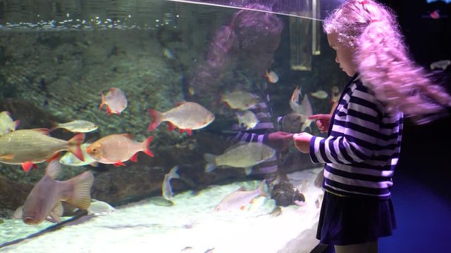 Sister girl and her little brother boy watching fishes in large aquarium