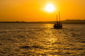 Sunset at sea. toned. Yacht in the sunset. copy space