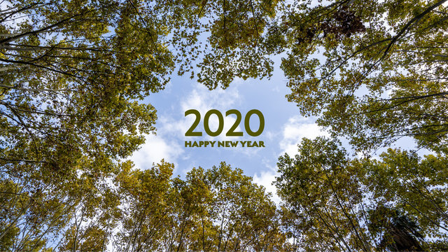 2020 happy new year written in the sky in the middle of trees. Green environment or eco friendly best wishes concept. Banner for postcards, website, diary or social media front pages