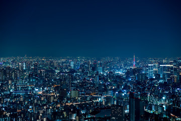 Obraz na płótnie Canvas 東京の夜景