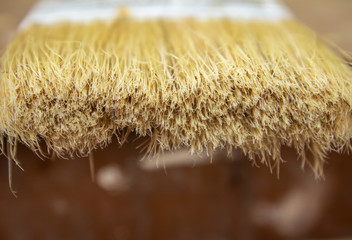 Close view of the bristles in a paint brush