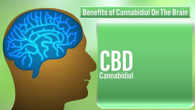 Benefits of CBD (Cannabidiol) on the brain,video animation on green background.