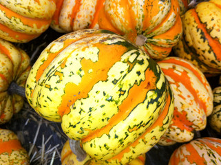 display of colorful gourds at farmers market. pile of pumpkins