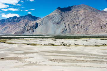 Ladakh, India - Jul 23 2019 - Beautiful scenic view from Between Diskit and Turtuk in Ladakh, Jammu and Kashmir, India.