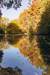 Reflection of autumn trees in the lake. Beautiful autumn landscape on the lake. Beautiful autumn landscape.