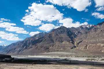 Ladakh, India - Jul 23 2019 - Beautiful scenic view from Between Diskit and Turtuk in Ladakh, Jammu and Kashmir, India.