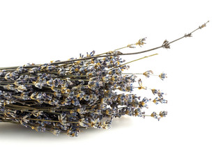 Bunch of purple lavender sprigs on a white background