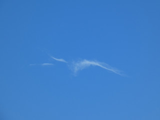 Cielo