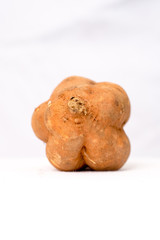 Sweet potato tuber (Ipomoea batatas) on white background