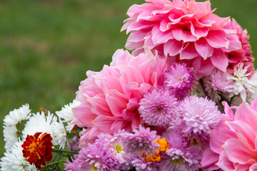 autumn flowers bouquet,autumn bouquet on green background