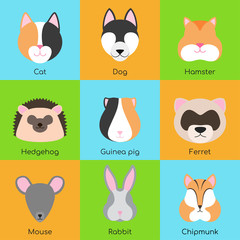 Set of 9 color vector illustrations of pets: cat, dog, hamster, hedgehog, guinea pig, ferret, mouse, rabbit, chipmunk. On multi-colored backgrounds, blue, green, yellow. Suitable for web, books, logo.