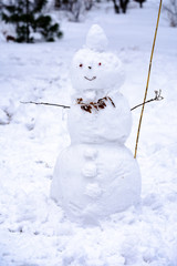 A happy snowman made of snow and branches stands in the park in winter and smiles.