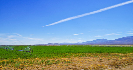 Agriculture landscape water spray irrigation system on green field with mountains in background in...
