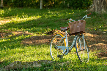 Retro style bicycle parks at a grassy field