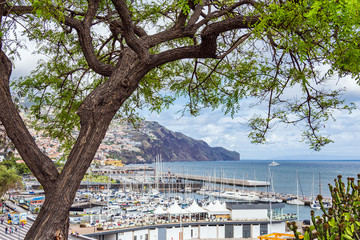 Blick auf Funchal auf der Insel Madeira, Portugal