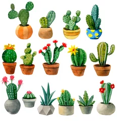 Foto op Aluminium Cactus in pot set van planten in potten geïsoleerd op wit