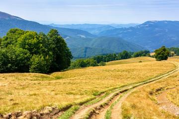 Fototapeta na wymiar mountainous countryside in summertime. country road down the hill through the grassy meadow. trees along the path. sunny weather with cloudless sky. explore back country concept