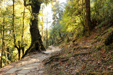 Trek route of Annapurna, Nepal in the Himalayas
