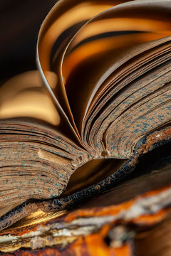 Leather spine of an old book of the 19th century. Clous-up photography