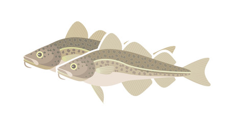 Atlantic cod logo. Isolated cod on white background