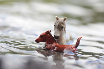 horses in river