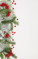 Christmas tree branch decorated with snow and red berries on a white background with copy space for text. Concept of Christmas and New Year. Composition, ornament, Pattern, background, card. Vertical.