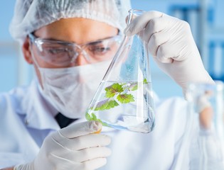 Biotechnology concept with scientist in lab