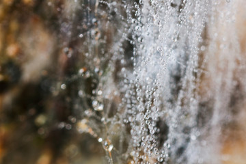 A spider web in the early morning covered with dew drops.