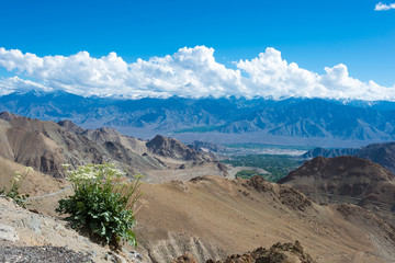 Ladakh, India - Aug 03 2019 - Riders on Between Khardung La Pass (5359m) and Leh in Ladakh, Jammu and Kashmir, India.